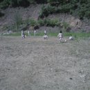 한양대 청강태권도 이미지