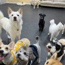 멍스가든 이미지