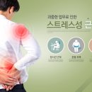 원종중앙시장 이미지