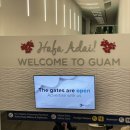 노랑퍼피 | 괌 3박5일 자유여행 두짓비치 현지인 맛집 괌찌 추천후기