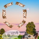 신성상사
