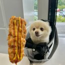 치악(부산방향)충전소 | 치악휴게소 부산방향 수유실 먹거리 중앙고속도로휴게소