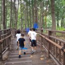 종식목장 이미지