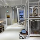 헤어 리리 이미지