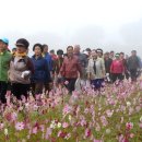 함안군 가족사랑 건강 걷기대회 열어 이미지