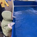 [주말 나들이 추천] 눈썰매장과 동물 먹이주기 체험 등 어린이 놀이시설이 있는 파주 퍼스트가든 후기