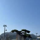 동아에스티(주)원주지점 | 원주여행 소금산 그랜드밸리 케이블카와 출렁다리통합권 이용 후기