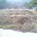 김순기농장 Daum카페