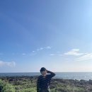 도구리3083 | 제주도 2박 3일 여행 불태우기_2일차