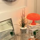 포에버농장 이미지