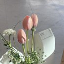 포시즌 일상 (13) | 포항이동꽃집 포항대잠동꽃집 포항시청꽃집 포항플라워클래스