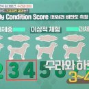 호크종합동물병원 이미지