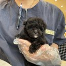 성일동물병원 이미지