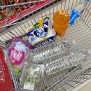 빠지 타타타 & 전원펜션 & 자라섬 꽃페스타 & 별그랑베이커리카페 & 썸머드림 모터보트 & 청춘한우소곱창