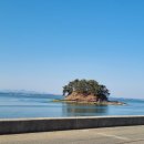 화이트래빗 풀빌라 이미지