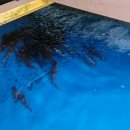 파주민물매운탕 이미지