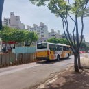 김밥천국(금호점) 이미지