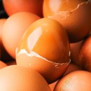 🍎재현과일 ㅡ 고당도 유라조생밀감 특가, 명품 제라진 블랙라벨 감귤, 신선 알배추, 스테비아 방울토마토, 산지 태추단감 등등 이미지