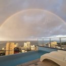 스카리아 이미지