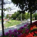 일신여자중학교 이미지