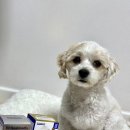 이지힐메딕스 네이버블로그