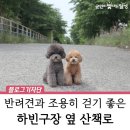 하빈구장 네이버블로그