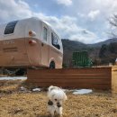 곤트란쉐리에 울미숲점