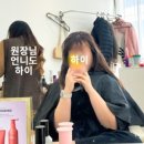 라이크투앤티 이미지
