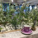 (주)센스트레이드 이미지