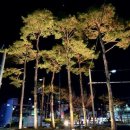 송림교차로
