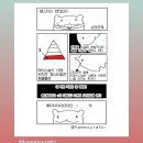 백룡체육관 | [1월 3주] 책임 happy, 자연의 each, charm과 거짓