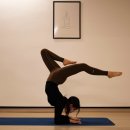 베스트짐 이미지