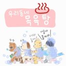 뭐야 마켓컬리 왜 우리집 배송불가지역된거지 이미지