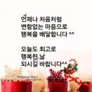 소울화인 이미지