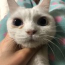 서진동물병원 이미지