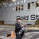 탑켄넬 | 제주도 배 애견동반 탑승 중형견 강아지와 편하게 배타는 꿀팁