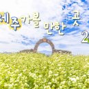 동화 전문정비 이미지