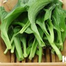 고기랑산채랑