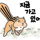리에또식당 이미지