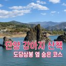 단양생태체육공원 | [충북 단양] 단양 애견동반 산책 도담삼봉·매포생태공원 후기