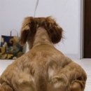 서울굿내과의원 이미지