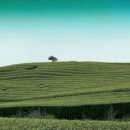 삐까뻔쩍 이미지