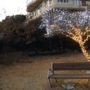 청룡동-36 이미지