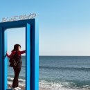 블루로드행 특급 열차 이미지