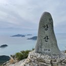홍포촌닭