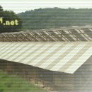 횃대둥우리 이미지