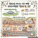 전곡-6 | 전곡선사박물관 개관 15주년 기념전 〈땅속의 땅, 전곡〉
