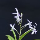 무명농장 이미지