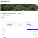 충북 제천 캠핑장 계곡 감성캠핑 월악아지트캠핑장! (+개별화장실)