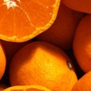 진가농장 이미지